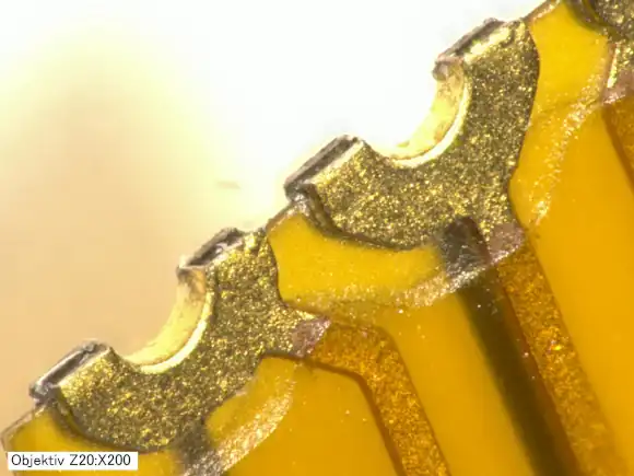 Makro-Aufnahme der "Half-Opens"